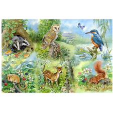 Puzzle Természet tanulmány 250 darabos puzzle, kirakós