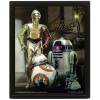 Pyramid International Star Wars Droids 3D