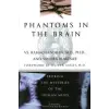 Quill Phantoms in the Brain | Vilaynur S. Ramachandran,Sandra Blakeslee