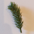 Qx Fenyő ág 8cm