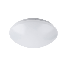 Rabalux 3439 - LED fürdőszobai mennyezeti lámpa LUCAS LED/24W/230V világítás