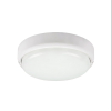 RÁBALUX Rábalux Hort 7406 kültéri falilámpa, 15W LED, 4000K, 1300 lm, IP54, IK06