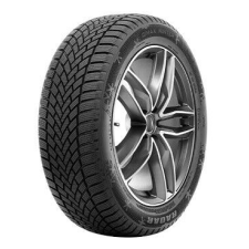 Radar 225/50R18 99V XL Dimax Winter 225/50 R18 99V Téli gumi téli gumiabroncs