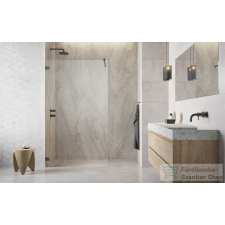 Radaway Essenza Pro 110 walk-in zuhanyfal, szálcsiszolt fegyvermetál (10103110-92-01) kád, zuhanykabin