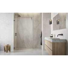 Radaway Essenza Pro 55 walk-in zuhanyfal, szálcsiszolt fegyvermetál (10103055-92-01) kád, zuhanykabin