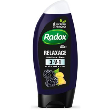 Radox Men Feel Wild Blackberry & Ginger 2in1 Shower Gel 250 ml testápoló