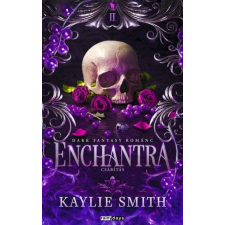 Rainy days Enchantra - Különleges kiadás regény