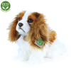  Rappa Plyšový pes King Charles španiel 25 cm