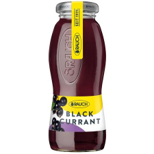Rauch Üdítőital, szénsavmentes, 0,2 l, RAUCH " Prémium", feketeribizli üdítő, ásványviz, gyümölcslé