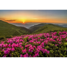 Ravensburger Enjoy 1000 db-os Puzzle - Pink Dusk 06 (639715) puzzle, kirakós