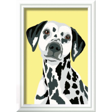 Ravensburger Paint by Numbers Dalmata kutya számfestő készlet (23755) kreatív és készségfejlesztő