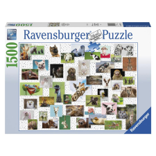  Ravensburger: Puzzle 1500 db - Vicces állatok (53838) puzzle, kirakós
