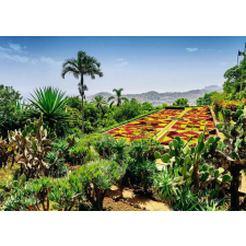 Ravensburger Ravensburger varázskertek - Botanischer Garten Madeira puzzle 1000 darab puzzle, kirakós