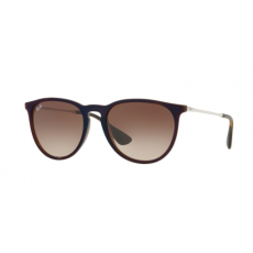 Ray-Ban 4171 6315/13