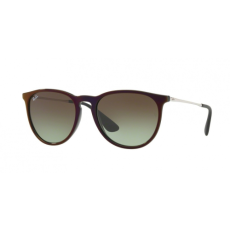 Ray-Ban 4171 ERIKA 6316/E8-54