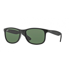 Ray-Ban 4202 6069/71