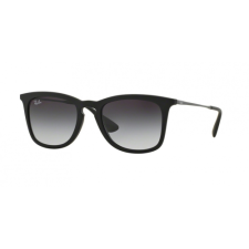 Ray-Ban 4221 622/8G napszemüveg