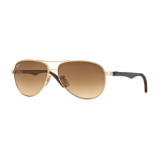 Ray-Ban 8313 001/51 napszemüveg