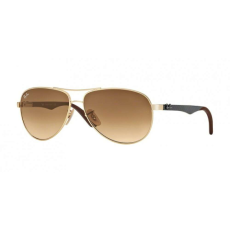 Ray-Ban Carbon Fibre RB8313 001/51-58