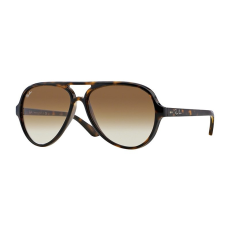 Ray-Ban Cats 5000 Classic RB4125 710/51
