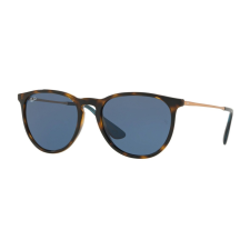 Ray-Ban Erika Color Mix RB4171 639080 napszemüveg