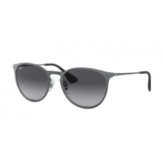 Ray-Ban ERIKA METAL RB3539 192/8G