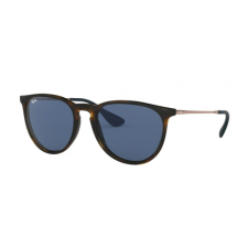 Ray-Ban ERIKA RB4171 6390/8O 54 napszemüveg