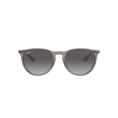 Ray-Ban Erika RB4171 65138G
