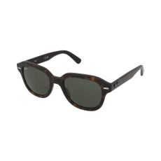 Ray-Ban Napszemüvegek Ray-Ban Erik RB4398 902/31