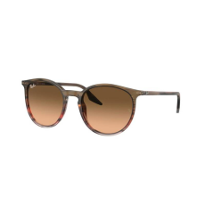 Ray-Ban Napszemüvegek Ray-Ban RB2204 13953B