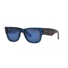 Ray-Ban Ray Ban RB0840S 6638O4