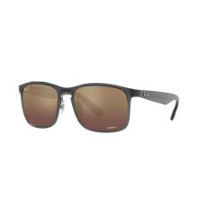 Ray-Ban Ray Ban RB4264 876/6B