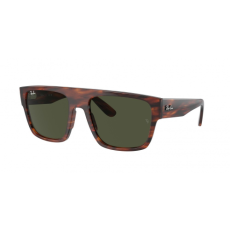 Ray-Ban RB0360S 954/31