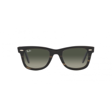 Ray-Ban RB2140 136071