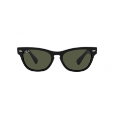 Ray-Ban RB2201 901/31