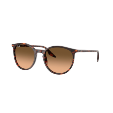 Ray-Ban RB2204 14293B Havana Red Tortoiseshell Pink Gradient Black napszemüveg