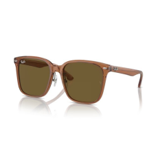 Ray-Ban RB2206D 663673 TRANSPARENT BROWN DARK BROWN napszemüveg