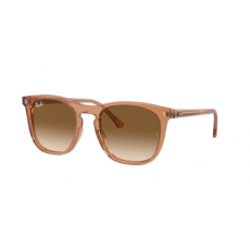 Ray-Ban RB2210 676451