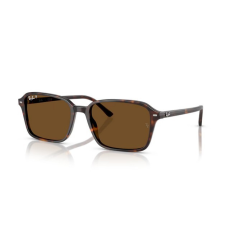 Ray-Ban RB2231 902/57 RAIMOND HAVANA B15 BROWN napszemüveg
