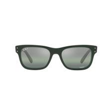 Ray-Ban RB2283 6659G4 napszemüveg
