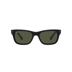 Ray-Ban RB2283 901/31