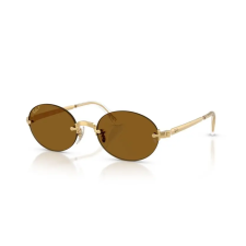 Ray-Ban RB3929 001/83 (ASAP ROCKY) ARISTA GOLD DARK BROWN POLARIZED napszemüveg napszemüveg