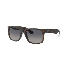 Ray-Ban RB4165 865/8S