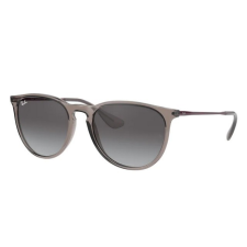 Ray-Ban RB4171 65138G ERIKA TRANSPARENT GREY LIGHT GREY GRADIENT DARK GREY napszemüveg napszemüveg