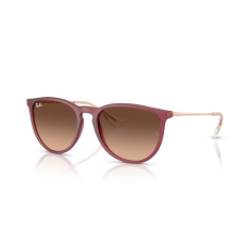 Ray-Ban RB4171 6815A5 ERIKA RUBBER VIOLET PINK GRADIENT BROWN napszemüveg