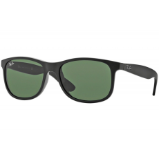 Ray-Ban RB4202 - 6069/71