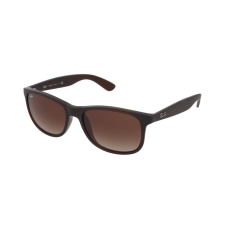 Ray-Ban RB4202 607313 napszemüveg