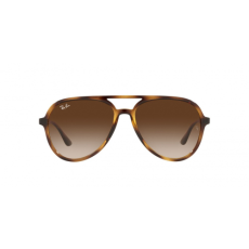 Ray-Ban RB4376 710/13