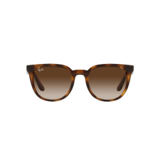 Ray-Ban RB4381I 710/13 napszemüveg