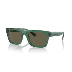 Ray-Ban RB4396 6681/3 WARREN TRANSPARENT GREEN DARK BROWN napszemüveg